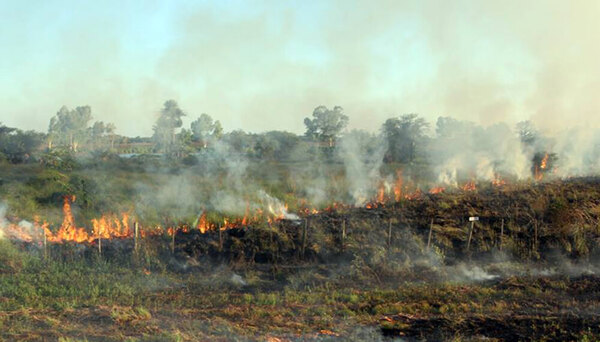 Salud recomienda no exponerse al humo producto de los incendios