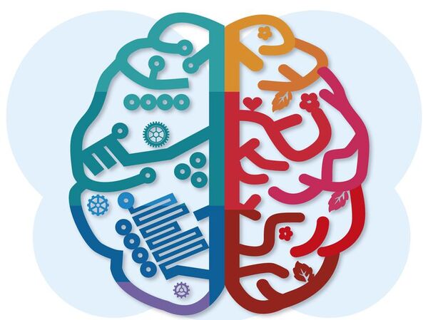 Neurociencias. Artículo 1 - Escolar - ABC Color