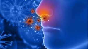 Diario HOY | Un modelo de nariz humana desvela cómo comienza la infección por SARS-COV-2