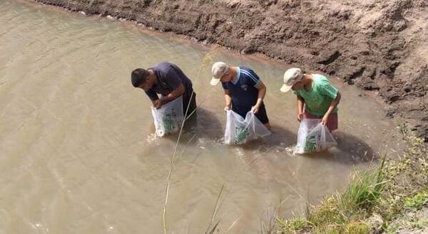 Pequeños productores piscícolas de Misiones, Caazapá e Itapúa reciben alevines para cría en estanque