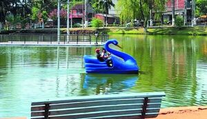 Ponen cisnes azules en lago Ykua Pytã