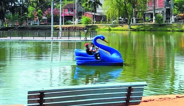 Ponen cisnes azules en lago Ykua Pytã