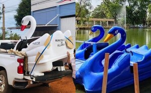 Intendente liberal marcó territorio poniendo cisnes azules en el lago Ykua Pytã, acusan - Noticiero Paraguay