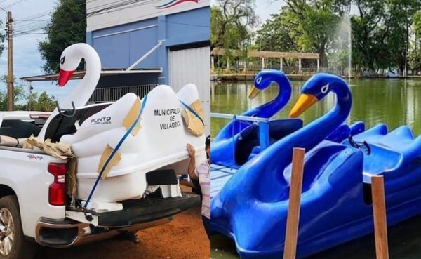 Intendente liberal marcó territorio poniendo cisnes azules en el lago Ykua Pytã, acusan - Noticiero Paraguay