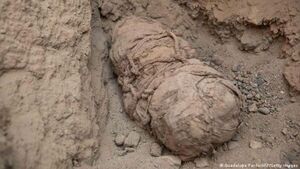 Arqueólogos hallan momias de seis niños que fueron víctimas de sacrificios en Perú