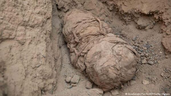 Arqueólogos hallan momias de seis niños que fueron víctimas de sacrificios en Perú