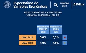 Agentes económicos estiman que suba de precios persistirá, y que habrá menor crecimiento - Nacionales - ABC Color