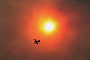 Incendios forestales en Corrientes: arden 20.000 hectáreas por día - Mundo - ABC Color