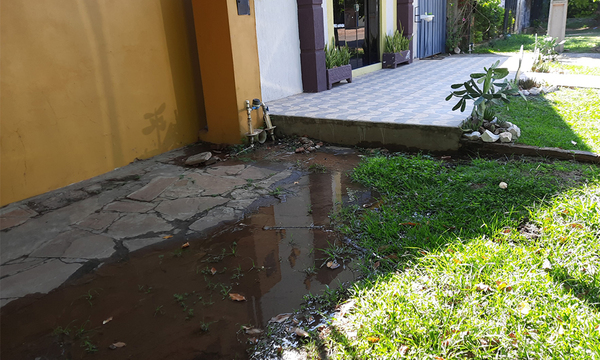 ESSAP ignora denuncia de caño y medidor rotos desde noviembre - OviedoPress