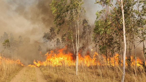 Incendio forestal en Paraguarí amenaza al Cerro León