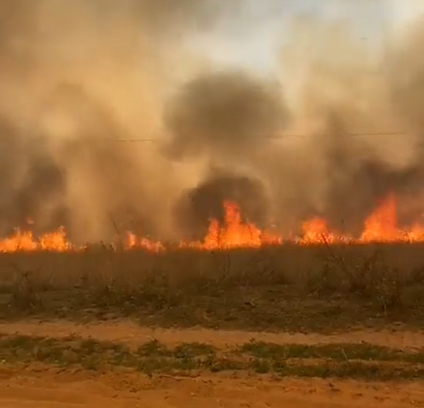 Reportan incendio de grandes proporciones en Parque Cerro León - Megacadena — Últimas Noticias de Paraguay