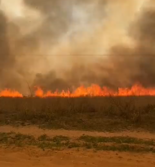 Diario HOY | Incendio de gran magnitud en el Parque Cerro León