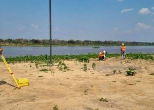 Contratista inició las tareas preliminares del puente de la ruta bioceánica - Nacionales - ABC Color