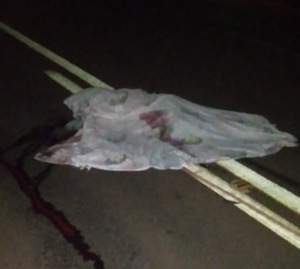 Yby Yaú: Mujer muere en accidente de tránsito