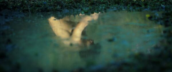 “Boreal” debuta hoy en Punta del Este - Cine y TV - ABC Color