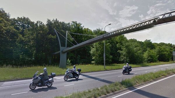 Ardillas cruzan por fin un costoso puente en Países Bajos