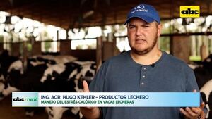 Cómo controlar estrés calórico en vacas lecheras - ABC Rural - ABC Color