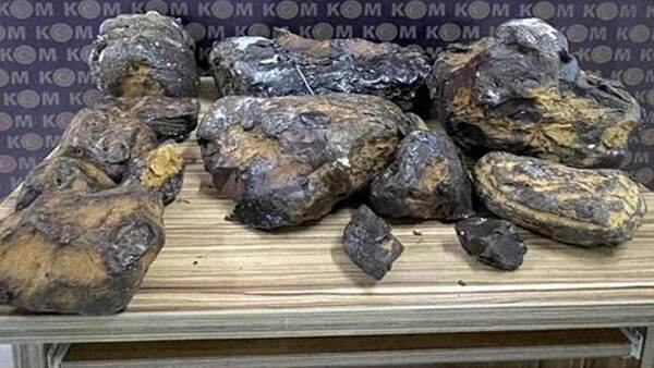 Incautan en Turquía ‘vómito de ballena’ valorado en más de 730.000 dólares