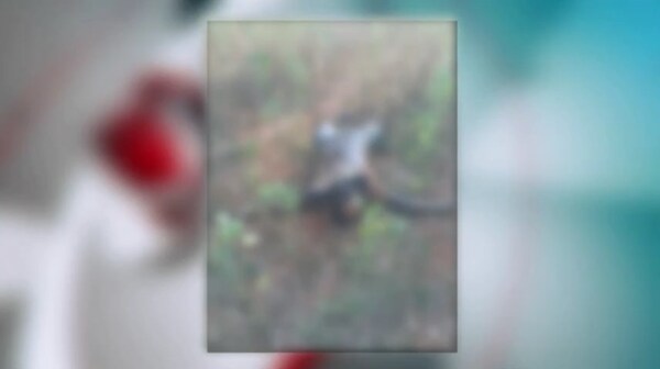 Hallan cadaver en estado de putrefacción en la localidad de Alto Verá