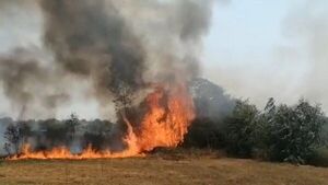 Pirotecnia ocasiona incendio de grandes proporciones en Pilar