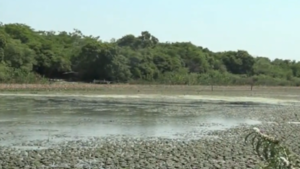 Laguna Cerro se queda sin agua a causa de la sequía