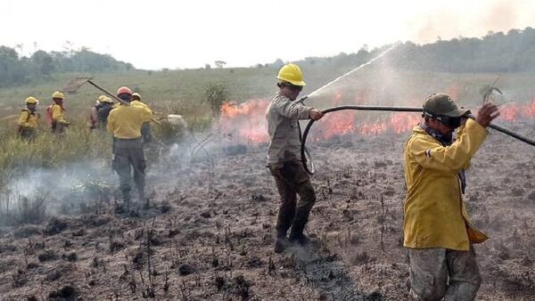 En Reserva San Rafael se combate un voraz incendio forestal