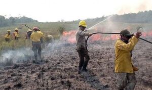 En Reserva San Rafael se combate un voraz incendio forestal