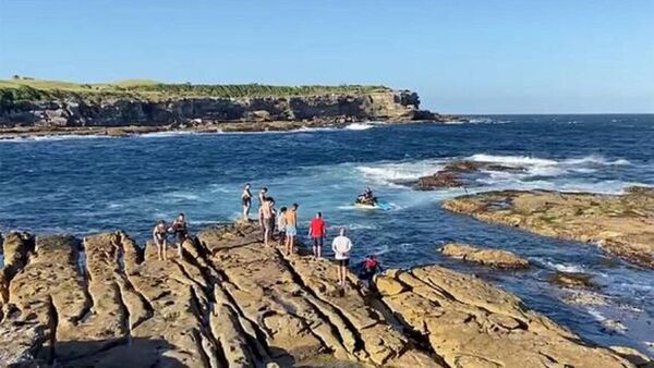 Australia busca a tiburón blanco que mató a bañista en Australia