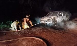 Incineran vehículo hurtado
