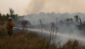 Incendio forestal en Corrientes -fronteriza con Paraguay- amenaza a viviendas  - Mundo - ABC Color