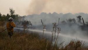 Incendio forestal en Corrientes -fronteriza con Paraguay- amenaza a viviendas - Mundo - ABC Color