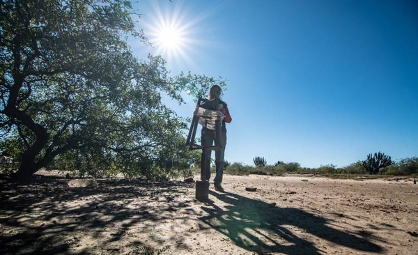 Diario HOY | Presentarán Mecanismo de sustentabilidad para el Gran Chaco Americano