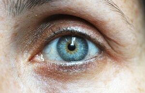 Ojos con sequedad, ardor e inflamación ocular por incendios - Estilo de vida - ABC Color