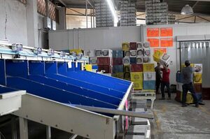 Michoacán asegura que muy pronto volverá a exportar aguacate a Estados Unidos - MarketData