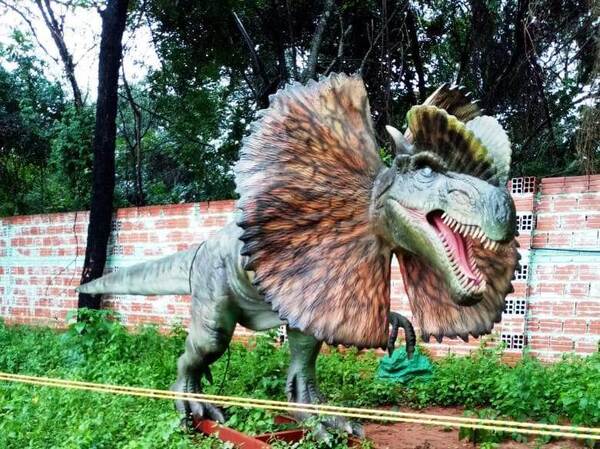 Parque Jurásico causa furor en Luque •