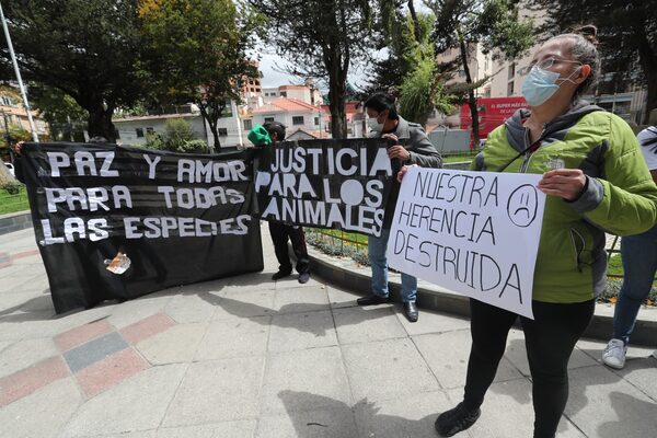 Activistas bolivianos protestan contra la minería ilegal en el parque Madidi - MarketData