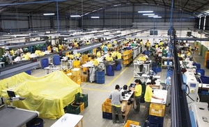 Diario HOY | Feria de empleos en Capiatá: ofrecen 150 vacancias