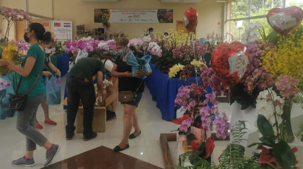 Feria de orquídeas generó ganancias de casi 50 millones a los productores