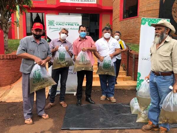ENTREGA DE ALEVINES DENTRO DEL PROGRAMA DE PISCICULTURA DE LA GOBERNACIÓN DE ITAPÚA - Itapúa Noticias