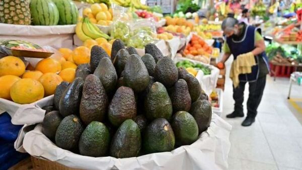 Aguacate de México en Estados Unidos: la amenaza del crimen organizado que paralizó la millonaria exportación entre ambos países