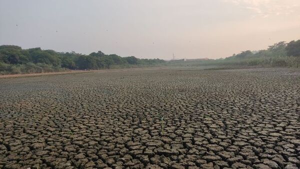 Se secó la laguna Cerro, puede se puede aprovechar para limpiarla, dicen los vecinos - Nacionales - ABC Color