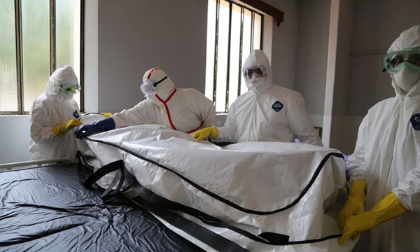 Llevan a cabo métodos para detectar tanto el coronavirus como los virus del Ébola y de la gripe - OviedoPress