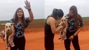 Diario HOY | Diana Camarasa salva a perra víctima de zoofilia: Detienen a violador en Caaguazú