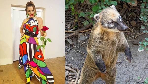 Marly Figueredo y el coatí - Teleshow