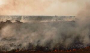 Incendios en Corrientes se vuelven incontrolables - Mundo - ABC Color