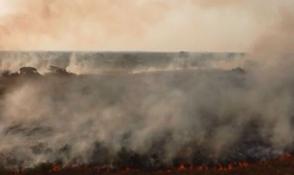 Incendios en Corrientes se vuelven incontrolables - Mundo - ABC Color