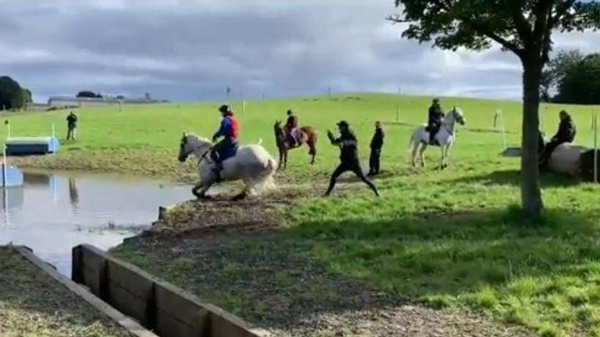 Crónica / [VIDEO] Un jinete campeón olímpico llenó de golpes a un caballo