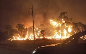 WWF: 'El Paraguay es un país altísimamente vulnerable al cambio climático'