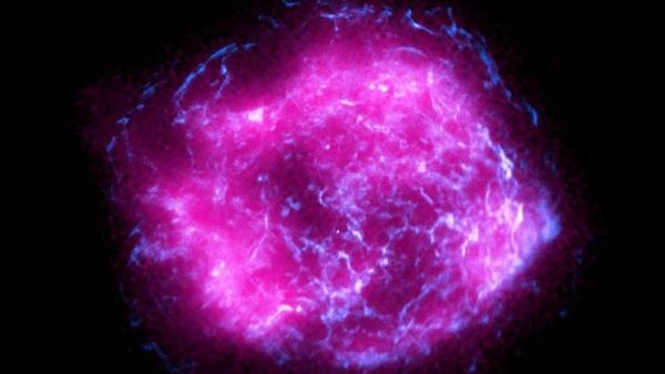 Científicos ven por primera vez una supernova desde su nacimiento