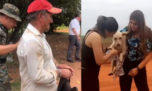 Diana Camarasa salva a perra víctima de zoofilia, detienen a violador en Repatriación - OviedoPress